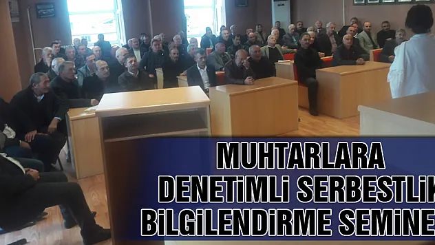 Muhtarlara denetimli serbestlik bilgilendirme semineri