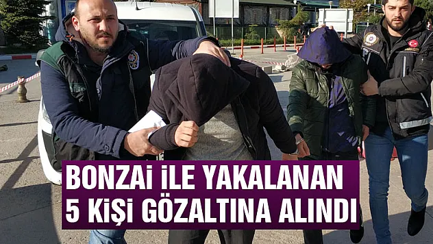 Bonzai ile yakalanan 5 kişi gözaltına alındı