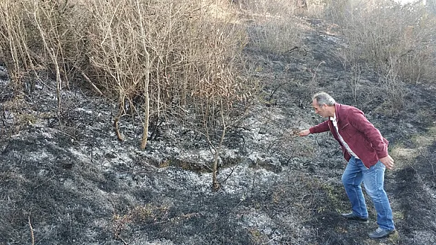 Samsun'da ormanda örtü yangını