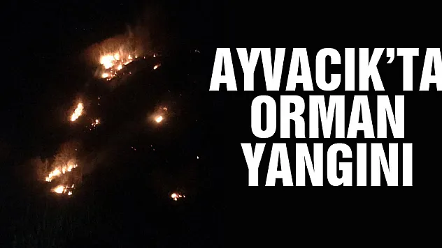 Ayvacık'ta Orman Yangını
