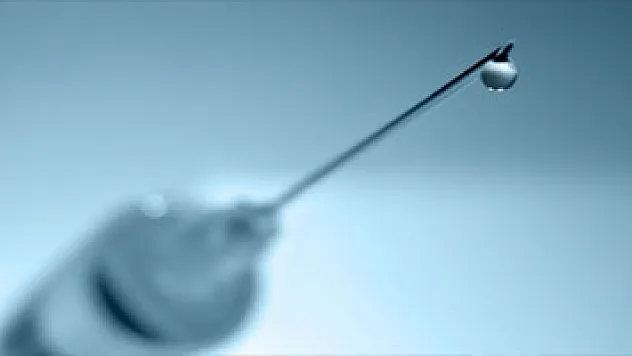 Güney Kıbrıs'ta domuz gribi alarmı