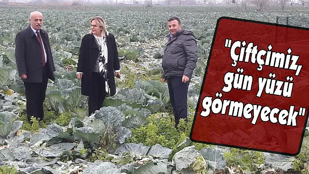 'Çiftçimiz, gün yüzü görmeyecek'