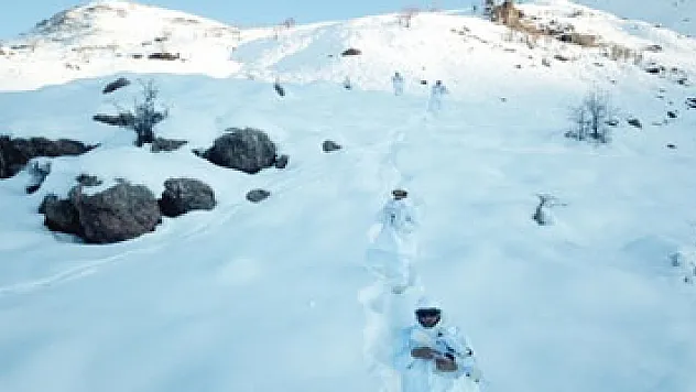 'Kapan-3 Kavaklı Operasyonu' Hakkari'de başladı