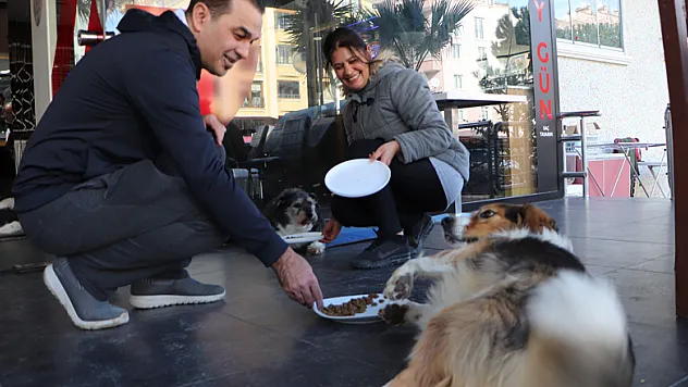 Samsunlu kuaför çiftin sokak hayvanı sevgisi