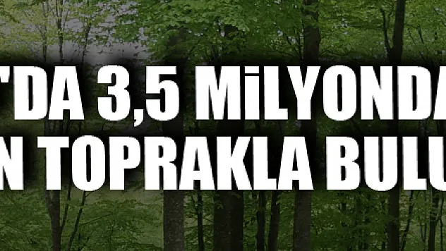 Samsun'da 3,5 milyondan fazla fidan toprakla buluştu