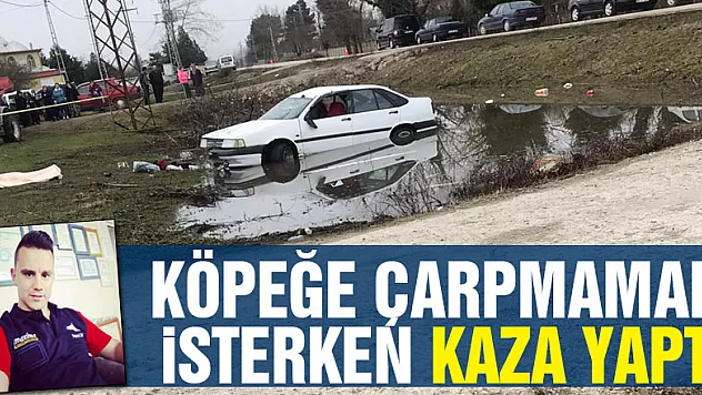 Köpeğe çarpmamak isterken kaza yaptı