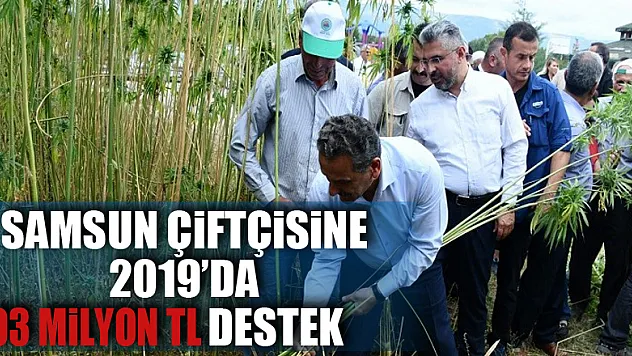 Samsun çiftçisine 2019'da 303 milyon TL destek
