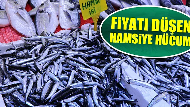 Fiyatı düşen hamsiye hücum