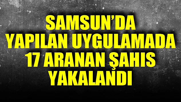 Samsun'da yapılan uygulamada 17 aranan şahıs yakalandı
