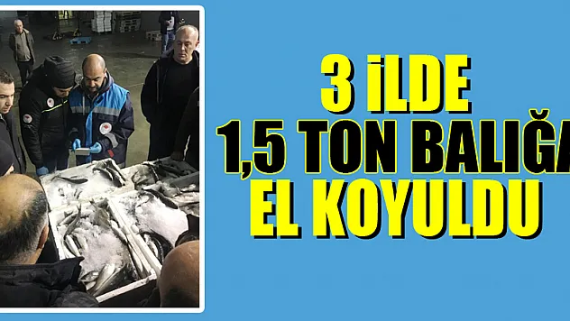 3 ilde 1,5 ton balığa el koyuldu