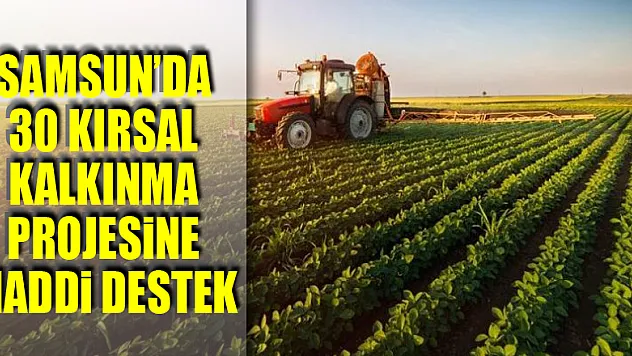 Samsun'da 30 kırsal kalkınma projesine maddi destek