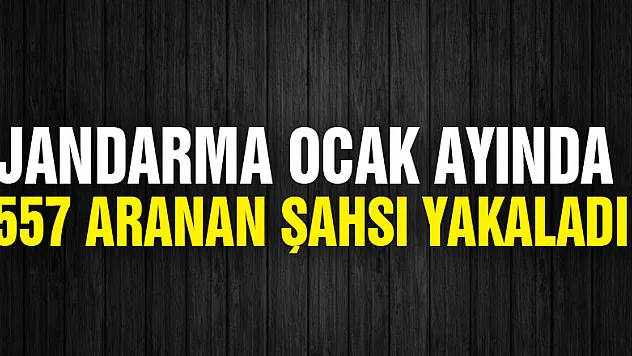 Jandarma ocak ayında 557 aranan şahsı yakaladı