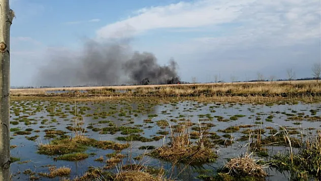 Simenit Gölü'nde yangın: Çok sayıda hayvan telef oldu