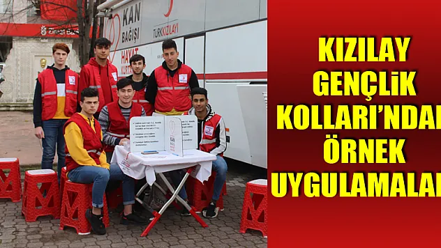 Kızılay Gençlik Kolları'ndan örnek uygulamalar