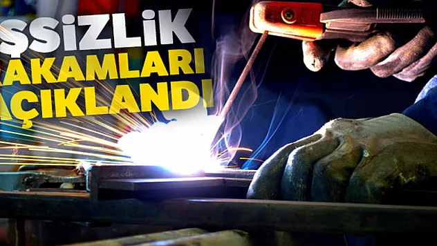 Kasım ayı işsizlik rakamları açıklandı