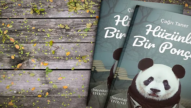 Hüzünlü Bir Ponçik kitabı rekora koşuyor