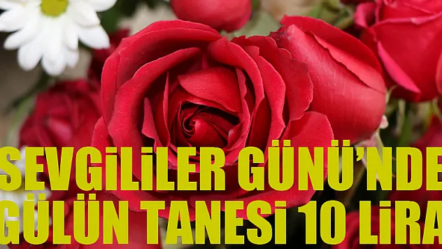'Sevgililer Günü'nde gülün tanesi 10 lira