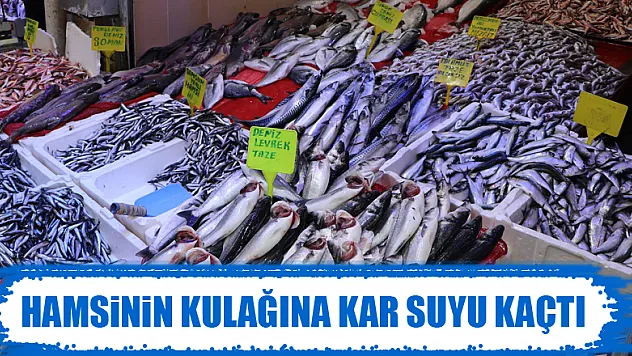 Hamsinin kulağına kar suyu kaçtı