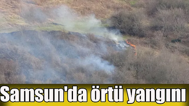 Samsun'da örtü yangını