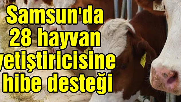 Samsun'da 28 hayvan yetiştiricisine hibe desteği