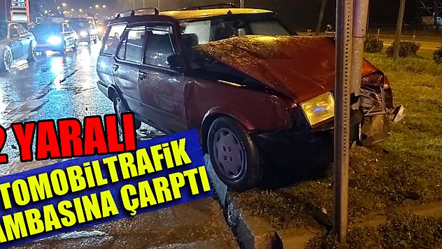 Otomobil trafik lambasına çarptı: 2 yaralı