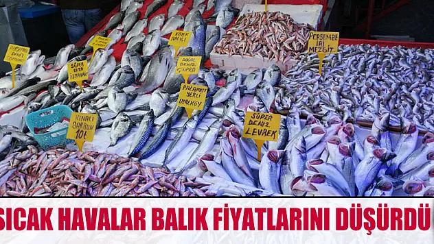 Sıcak havalar balık fiyatlarını düşürdü