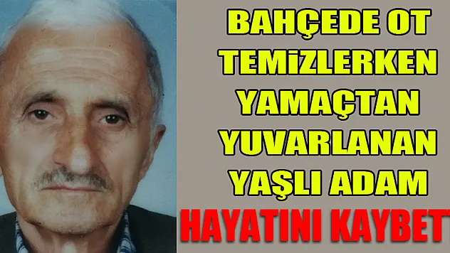 Bahçede ot temizlerken yamaçtan yuvarlanan yaşlı adam hayatını kaybetti