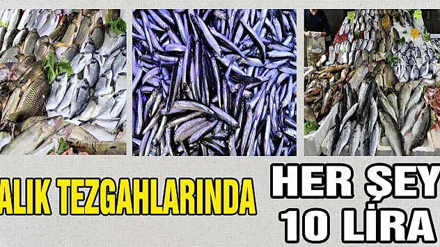  Balık tezgahlarında her şey 10 lira