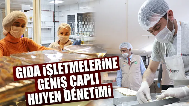 Samsun'da gıda işletmelerine geniş çaplı hijyen denetimi