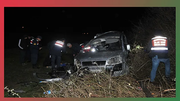 Ticari araç ağaca çarptı: 1 ölü, 2 yaralı  