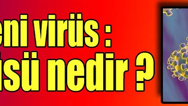 Çin'de yeni virüs: Hanta |Hanta virüsü nedir?