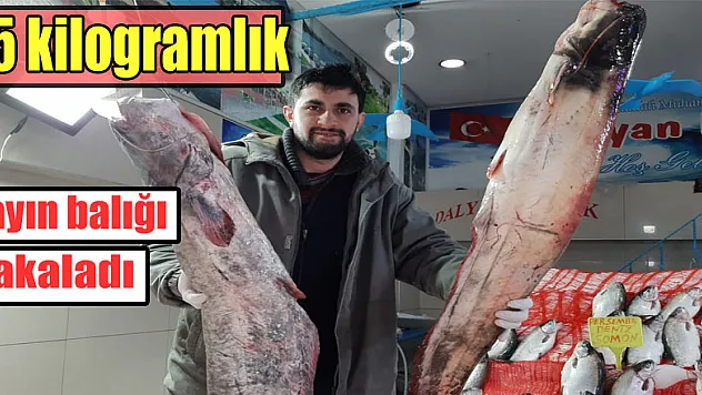 65 kilogramlık yayın balığı yakaladı