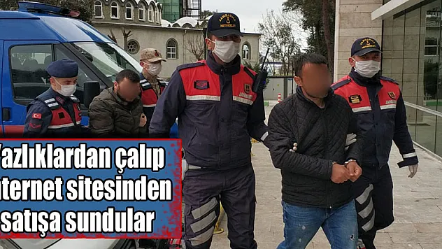 Yazlıklardan çalıp internet sitesinden satışa sundular