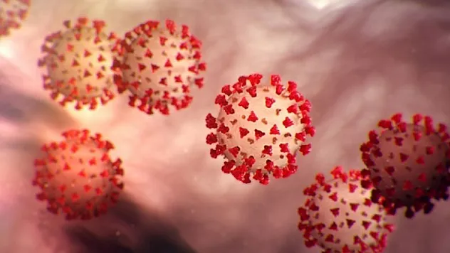 Covid-19 travmasına kılavuz!