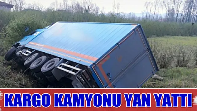Samsun'da kargo kamyonu şarampole yuvarlandı: 1 yaralı