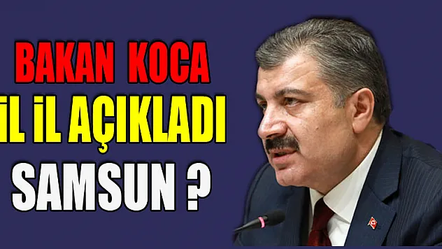 BAKAN KOCA İL İL AÇIKLADI