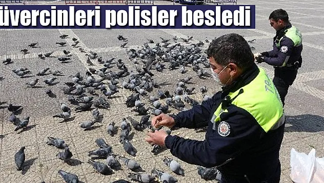 Samsun'da aç kalan güvercinleri polisler besledi
