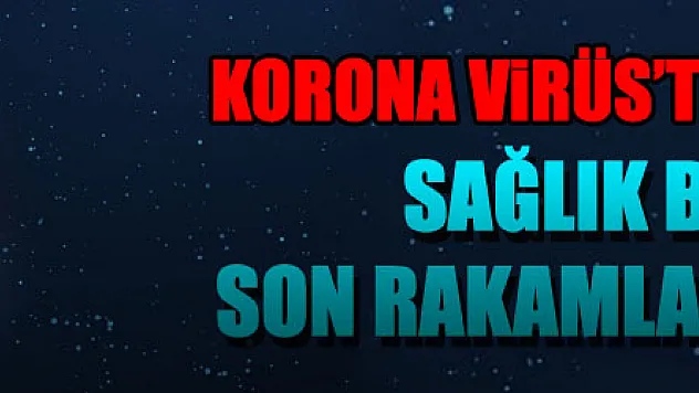 Türkiye'de son 24 saatte 97 kişi hayatını kaybetti