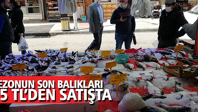 Sezonun son balıkları 15 liradan satılıyor 
