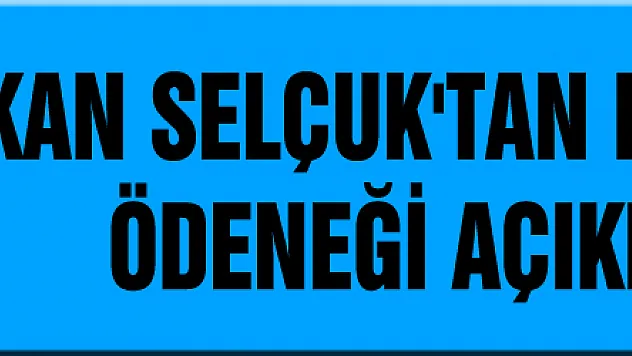 Bakan Selçuk'tan kısa çalışma ödeneği açıklaması