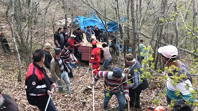 Uçurumdan yuvarlanan inek, itfaiye tarafından kurtarıldı