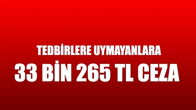Samsun'da tedbirlere uymayan 35 şahsa 33 bin 265 TL ceza kesildi