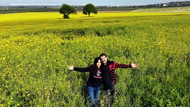 Kanola bahçesinden kartpostallık görüntüler