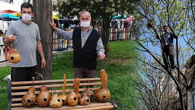 Su kabaklarından kuşlara yuva