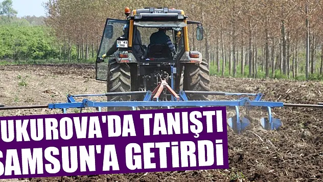 Çukurova'da tanıştı, Samsun'a getirdi