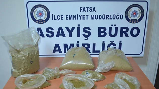 Ordu'da 3 kilo 470 gram bonzai ele geçirildi