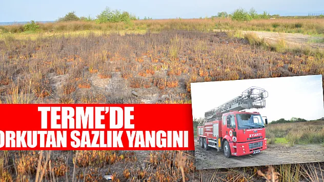 Samsun'da korkutan sazlık yangını 