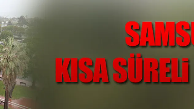  Samsun'da kısa süreli dolu yağışı  