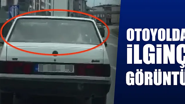 Arabanın arka koltuğunda inek taşıdı 