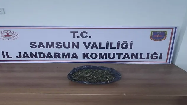 Uyuşturucuları 'Ozon' yakaladı  